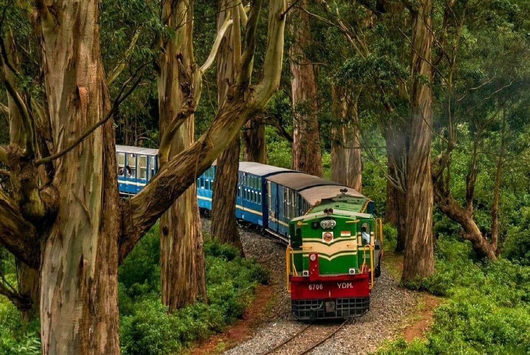 Ooty and Mysore Tour Packages
