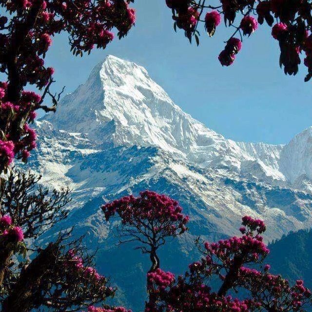 Romantic Hills of Uttarakhand