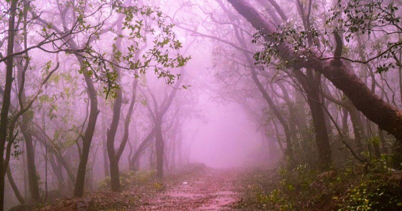 Matheran-Lonavala Hill Retreat- 5 Night / 6 Days